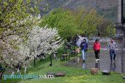 Առաջիկա օրերին՝ անձրև և ամպրոպ, ջերմաստիճանը կնվազի 4-6 աստիճանով
