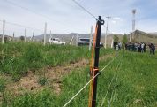 Solar energy and modern technologies in environmental projects – Viva-MTS