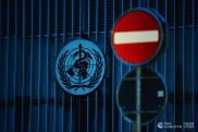ВОЗ отменила режим ЧС в мире из-за оспы обезьян