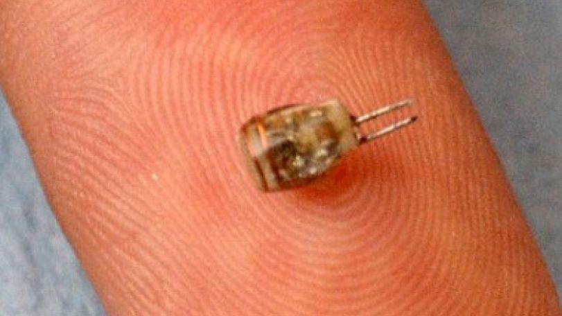 Wireless pacemaker placed in rabbit