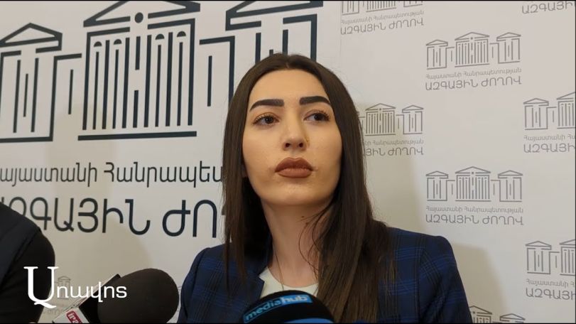 Замглавы МВД Армении – о случаях насилия со стороны сотрудников полиции во время различных инцидентов