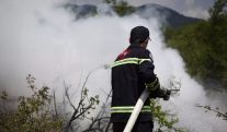 Спасатели из Грузии, Армении, Азербайджана и Молдовы примут участие в учениях по тушению лесных пожаров