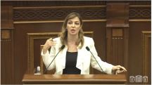 Արցախն իմ համար լիրիկական զեղում չէ, Արցախն իմ համար հայրենիք է.Անահիտ Սարգսյանը՝ Արփի Դավոյանին
