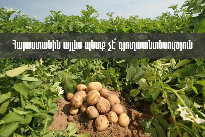 «Հայաստանում գյուղատնտեսությունը ձախողելով` ճանապա՞րհ եք ուզում բացել թուրքական ապրանքների համար»