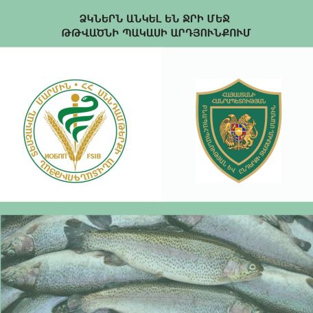 Հայտնի է, թե ինչու են Վարդավառի լճում ձկներ անկել