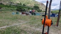 Viva-MTS: Mobile 'Electric Fences' in Yeghegis have become an 'obstacle' for bears