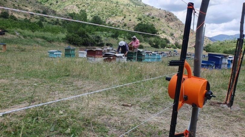 Viva-MTS: Mobile 'Electric Fences' in Yeghegis have become an 'obstacle' for bears