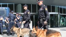 Испания: полиция конфисковала 6,5 тонны спрятанного в бананах кокаина