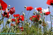 Temperatures to rise in Armenia
