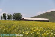 Погода в Армении: интенсивность ультрафиолетового излучения ожидается выше нормы