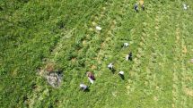 20,000 trees mulched in Lori with support of Viva-MTS to increase forest cover in Armenia