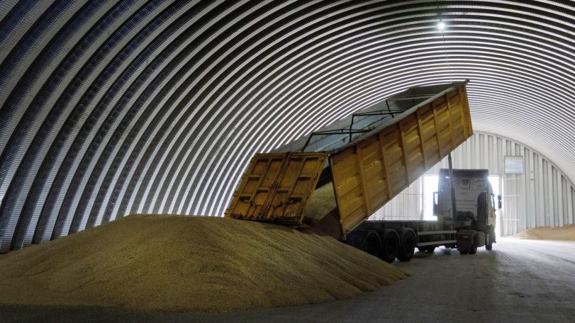 Russia halts participation in Black Sea grain deal