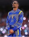 Правительство опровергает сведения о выделении $23 млн на концерт рэпера Snoop Dogg