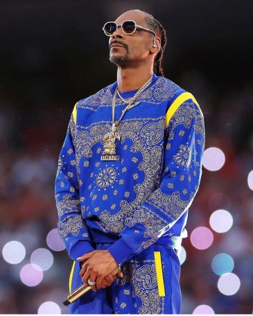 Правительство опровергает сведения о выделении $23 млн на концерт рэпера Snoop Dogg