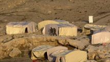 Israel seeks to ethnically cleanse Palestine – activist