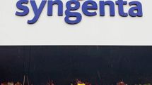 ‘Syngenta methods of silencing GMO opposition are unbelievable’