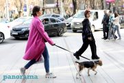 Օրական քանի՞ քայլը կարող է օգտակար լինել առողջությանը. Գիտնականների ուսումնասիրության նոր արդյունքը
