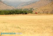 Հայաստանի որոշ շրջաններում բարձր կարգի հրդեհավտանգ իրավիճակ է
