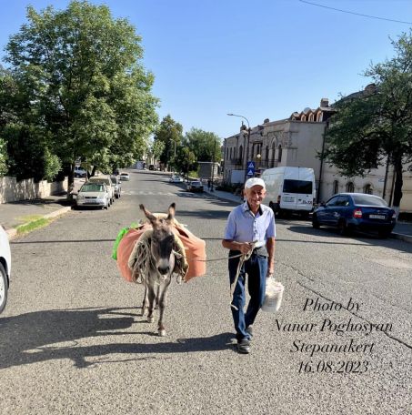 Арцахский дедушка блага арцахской земли на осле привез живущей в Степанакерте дочери