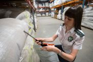 Россельхознадзор запрещает поставки семян моркови из армянского места отгрузки