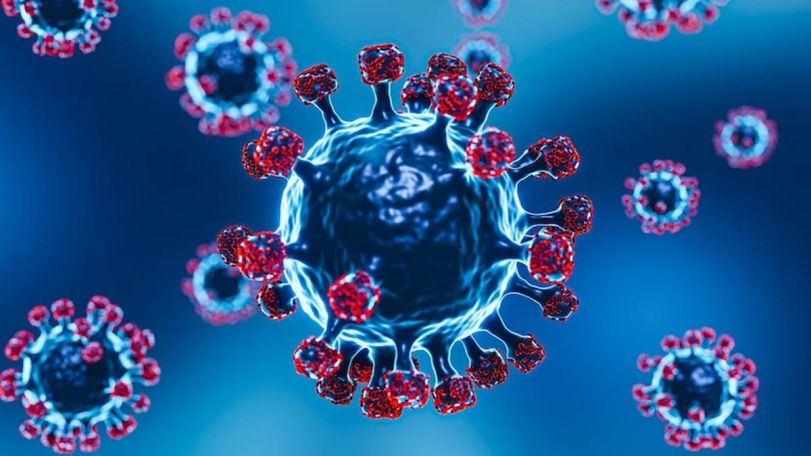 New Omicron strain detected in Armenia