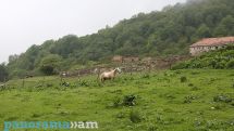 Օդի ջերմաստիճանը կնվազի 7-10 աստիճանով