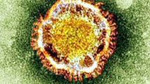MERS outbreak becomes more urgent, WHO says