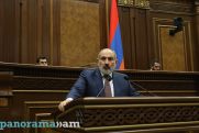 Նաիրա Կարապետյան. Նիկոլ, դրանից այս արյուն տենչող վայրենի հայասպանները չեն փոխվելու