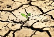 2.4 մլրդ մարդ ապրում է այն երկրներում, որտեղ ջրի դեֆիցիտ կա