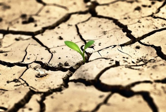 Сегодня 2,4 млрд людей живут в странах, испытывающих дефицит воды