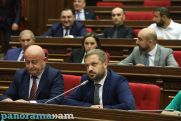 Адвокат: Депутат от партии Пашиняна оскорбил Татевик Вирабян с особой наглостью