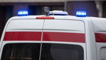 В России водитель на скорости сбил табун из 14 лошадей, все животные погибли