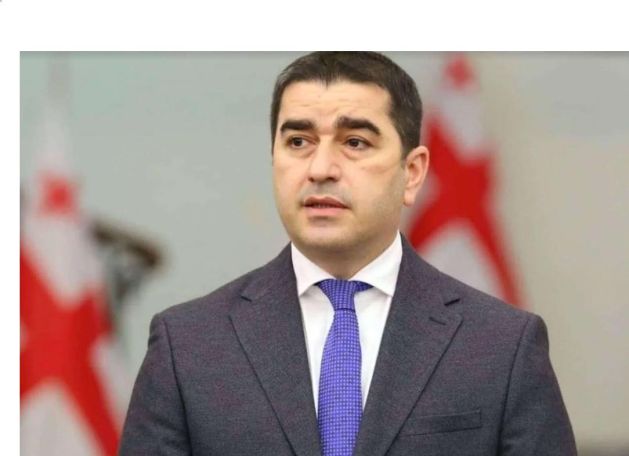Վրաստանից խոսել են Ռուսաստանի դեմ պատժամիջոցներ կիրառելու պարտադրանքի մասին