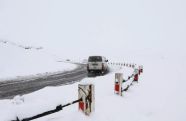 Дорога из Грузии в РФ через «Верхний Ларс» открылась для большегрузов