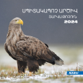 White-tailed eagle: bird of the year 2024