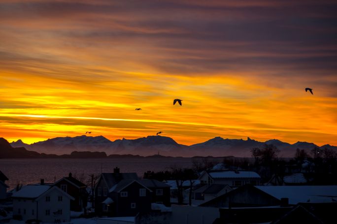 Air pollution levels still too high, warns EU environment agency