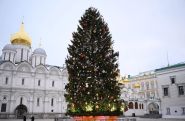Главную новогоднюю елку России спилили в подмосковном Щелково