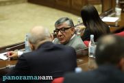 Pro-government MP denies reports about Yerevan airport as 'slander'