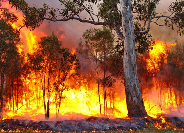 Australia swelters through heat wave