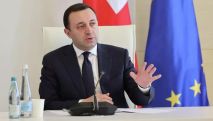 Гарибашвили: Власти Грузии пресекли попытки втянуть страну в войну