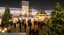 Сколько стоят новогодние елки в Армении и других странах СНГ?