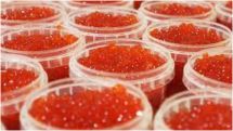 Armenian government to ban whitefish caviar exports from January