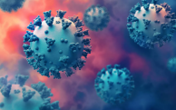 Number of new Covid cases increased 52% globally: WHO