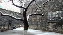 Տոնական օրերին թանգարանները կաշխատեն