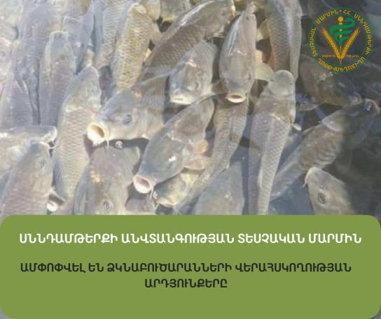 Արարատի ձկնաբուծարաններում ինֆեկցիոն հիվանդություն է հայտնաբերվել