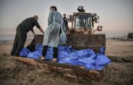Число жертв операции Израиля в секторе Газа достигло 21,5 тыс. человек – Al Arabia