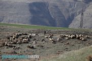 Temperatures to rise to 21C in Armenia's Syunik next week