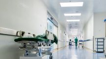 Հայաստանում շրջանառվում են գրիպի A տեսակի H3N2 և H1N1 ենթատեսակի և գրիպի B տեսակի  հարուցիչ