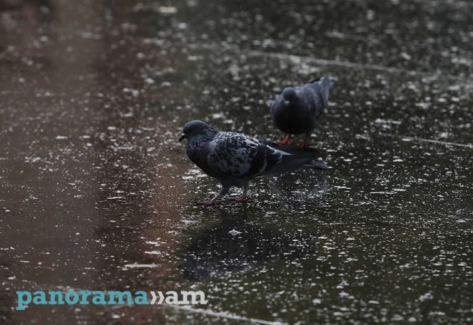 Temperatures to plummet in parts of Armenia next week