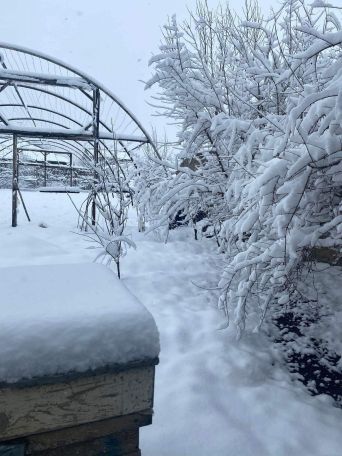 Cyclone to bring new round of snow to Armenia